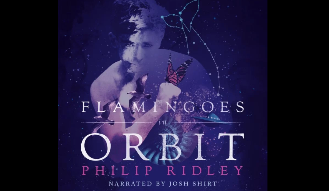 Flamingoes in Orbit – Audible Audiobook